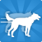 Gruppo di Sleddog