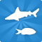 Gruppo di Aquarium