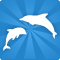 Gruppo di Whale Watching